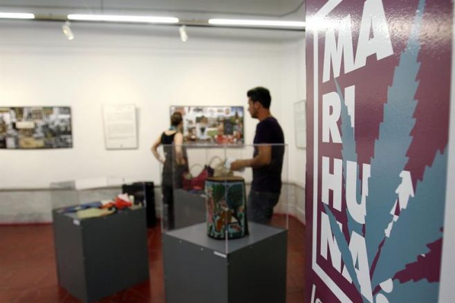 Muestra recorre la historia del cannabis, "la planta prohibida"