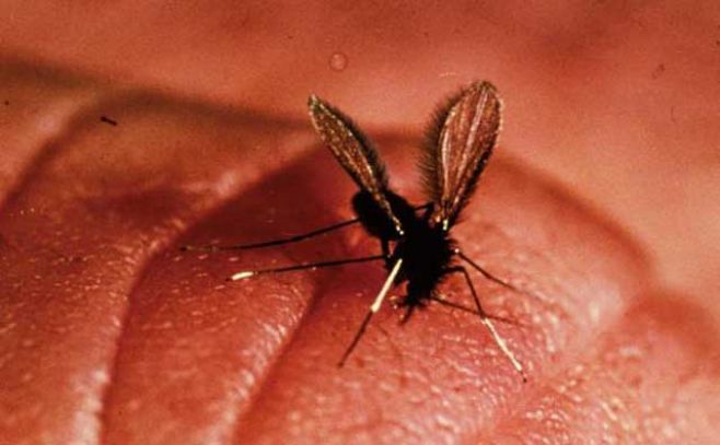 Imagen a modo de ilustraci�n. EFE/Archivo