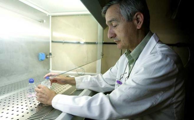 Un insecto parecido a una mosca propaga enfermedad en mascotas