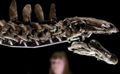 Científicos determinan la masa corporal de un dinosaurio