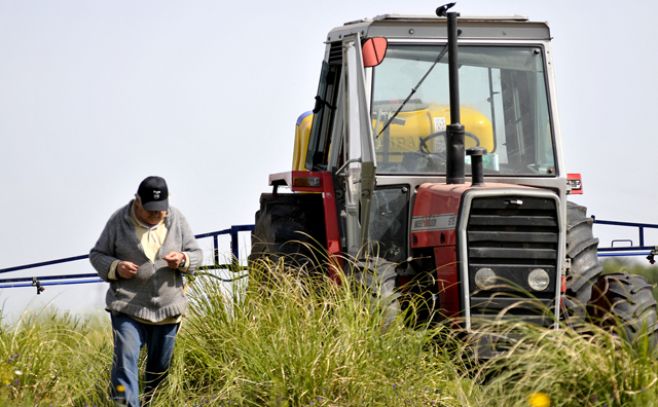 Mujica reglamentó ley sobre producción agropecuaria antes de irse