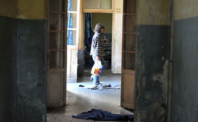 Etchepare: Justicia intima a ASSE a "erradicar" perros en 72 horas