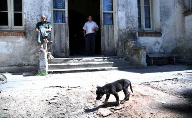 Gobierno decide no sacrificar los perros salvajes de Colonia Etchepare