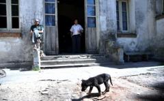 Más de 100 perros de Etchepare fueron llevados a refugios o casas