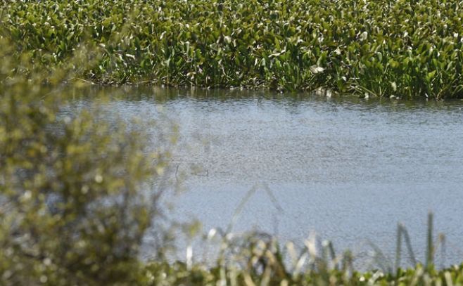 Laventure advierte de impacto en turismo por mala calidad de agua