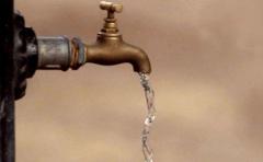 OSE no sabe por qué apareció ese tipo de algas en Laguna del Sauce