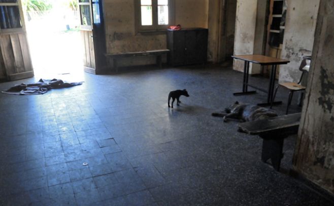 Perros que atacaron a pacientes en Etchepare siguen sueltos