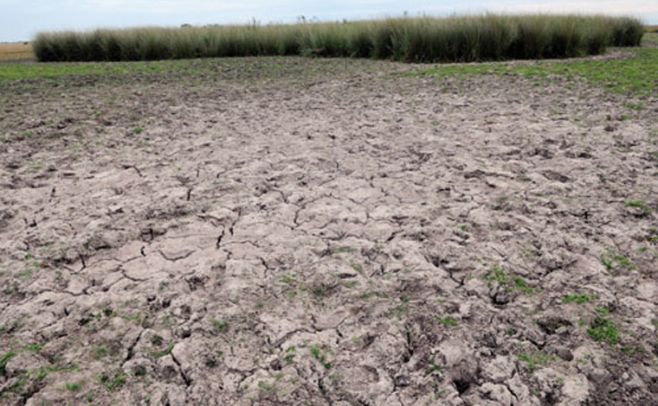 Emergencia Agropecuaria: Gobierno anunció medidas para departamentos