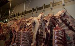 El precio de la carne sube un 5%