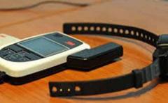 Hay 93 tobilleras colocadas por violencia doméstica