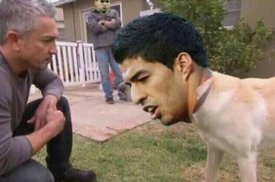 Suárez vs. Chiellini: el otro duelo de la final ya tiene memes