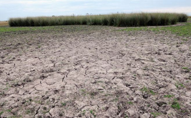 Emergencia agropecuaria por sequía se extiende a Florida y Canelones