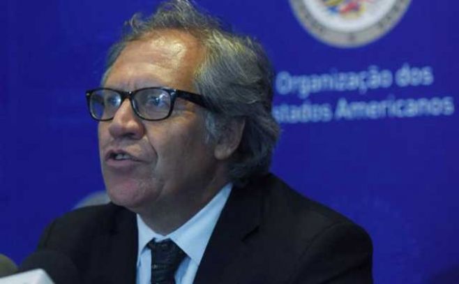 Almagro: "No es una competencia, la OEA debe colaborar con entes"