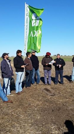 La agricultura por ambiente gana espacio en nuestro país