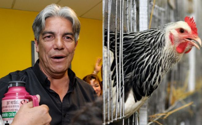 Empresarios: trabajadores también son "responsables" por las avícolas