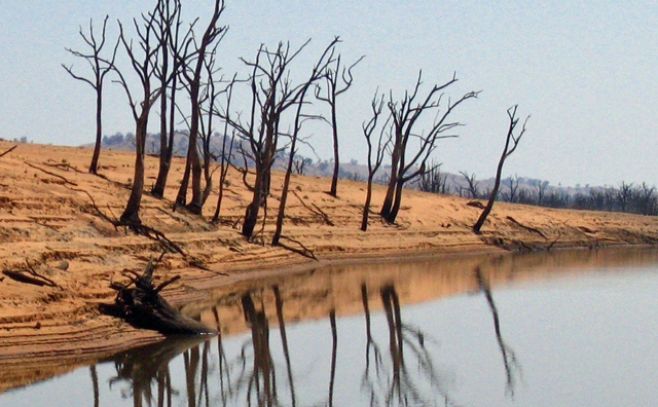 Cambio climático podría repercutir en la salud global