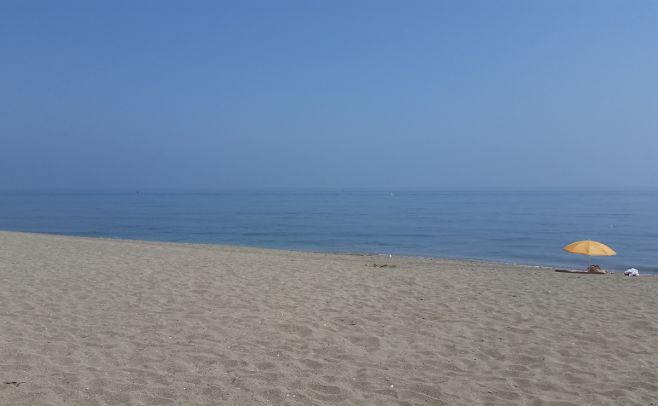 Una plaga de medusas lleg a las aguas de Marbella y as qued la playa. Juan Sader