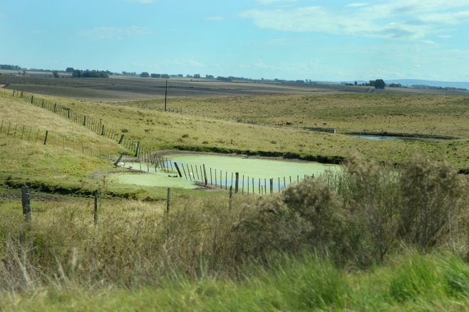 INIA: en la primavera podría llover por encima de lo normal