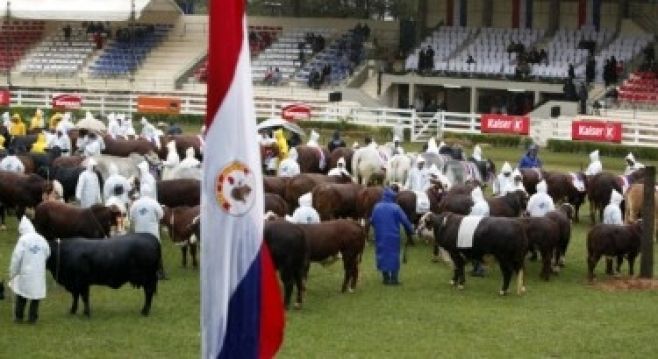 Expo Paraguay reflejó dinamismo del agro