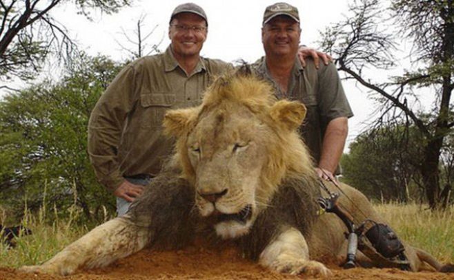 Proponen ley "Cecil" para proteger animales