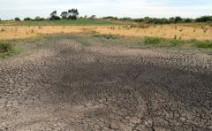 Investigan técnica que provoca lluvias y combate sequía