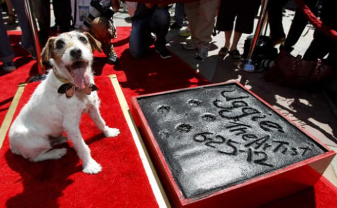 Muere a los 13 años Uggie, el famoso perro de "The Artist"