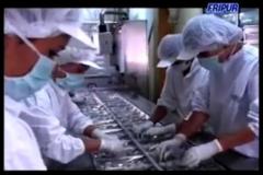 Sindicato de Fripur: cierre de la empresa "es muy probable"