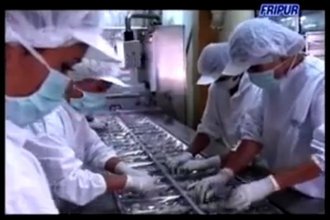 Sindicato de Fripur: cierre de la empresa "es muy probable"