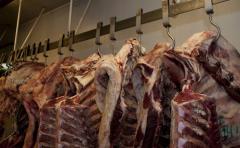 Carne uruguaya con nuevo reconocimiento de Estados Unidos