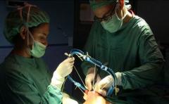 SAQ se movilizará este miércoles por mayor representatividad