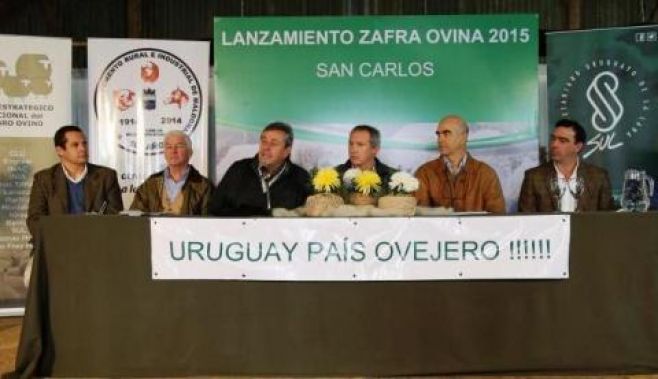 Zafra ovina 2015