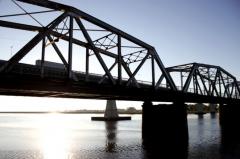 Bosque nativo clave para salvar al Santa Lucía según agrónomos