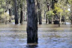 Cerca del 18% de los duraznenses fueron evacuados por inundaciones