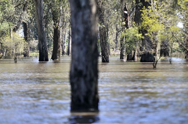 Cerca del 18% de los duraznenses fueron evacuados por inundaciones