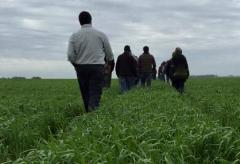 Agricultura en la línea de la precisión