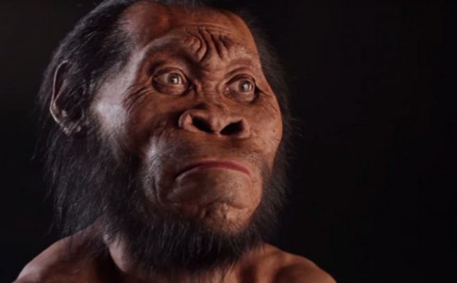 Descubren nuevo antepasado del hombre: el Homo naledi