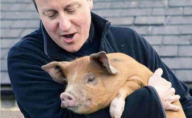 Cameron vinculado a episodios de exceso y sexo con un cerdo