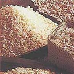 El precio del arroz se confirmó en ocho dólares por bolsa