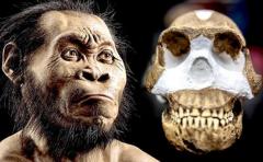 Homo Naledi podía trepar a los árboles y manejar herramientas