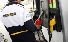 La próxima semana anunciarán baja del precio de los combustibles