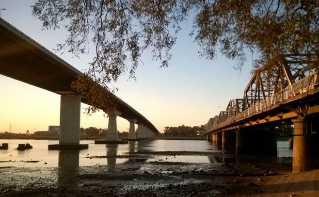 Detectan tala indiscriminada de monte nativo sobre río Santa Lucía