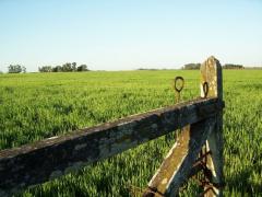 Aumento en contribución rural genera cruce de declaraciones entre gobierno y gremiales