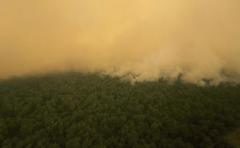 Los incendios en Indonesia emiten cada día más CO2 que EEUU