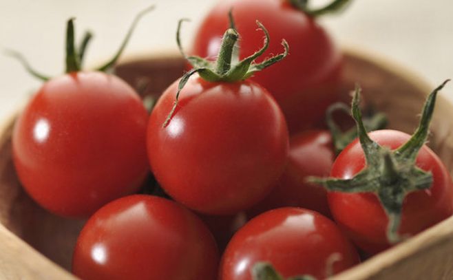 Científicos crean un tomate que combate varias enfermedades