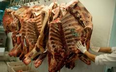 Exportación de carne aumentó en volumen 6% en lo que va del año