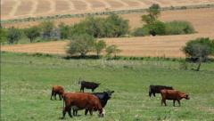 A pesar de las dificultades, el PBI agropecuario crece 1,6%, según OPYPA