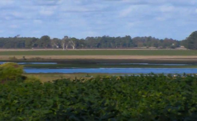 Herou confirma Laguna del Cisne afectada por fumigación