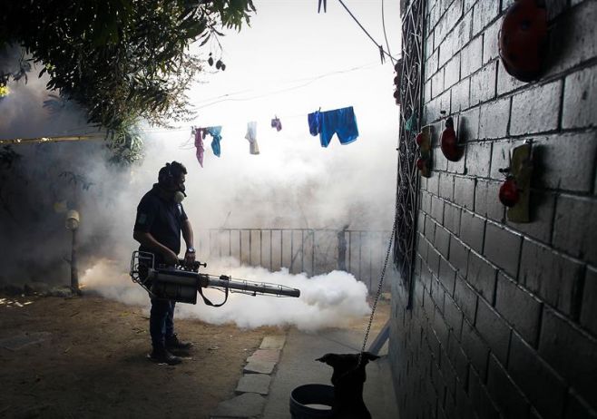  Un empleado del Ministerio de Salud fumiga el patio de una casa en la ciudad de Soyapango, 6 kilmetros al este de San Salvador.. EFE