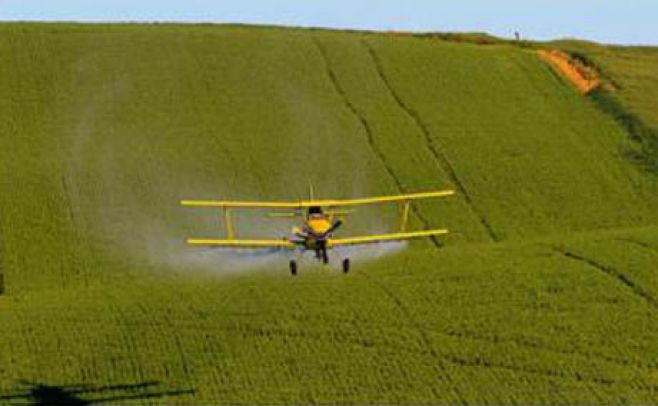 Empresas proponen fumigación contra el Aedes Aegypti