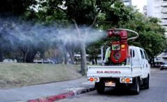 Paysandú decidió que no fumigará contra Aedes Aegypti